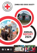 REDCROSS---REPORT--CURVED-.pdf
